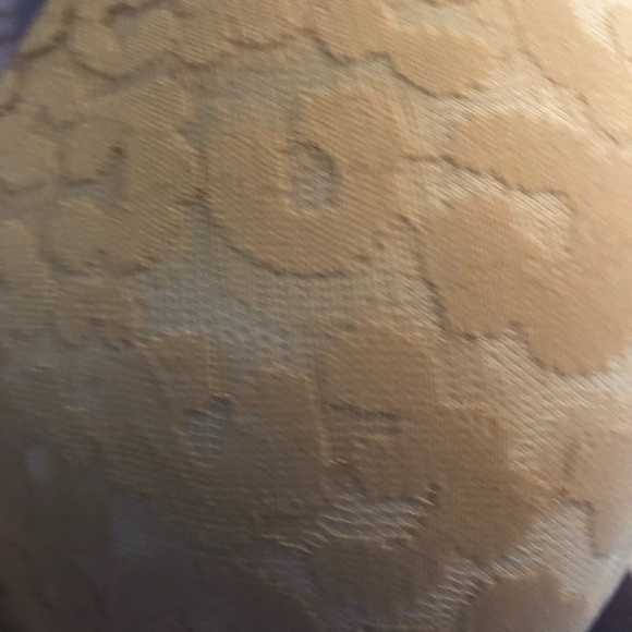 Brand new Savage Fenty T shirt Bra size 44DDD - Picture 3 of 4